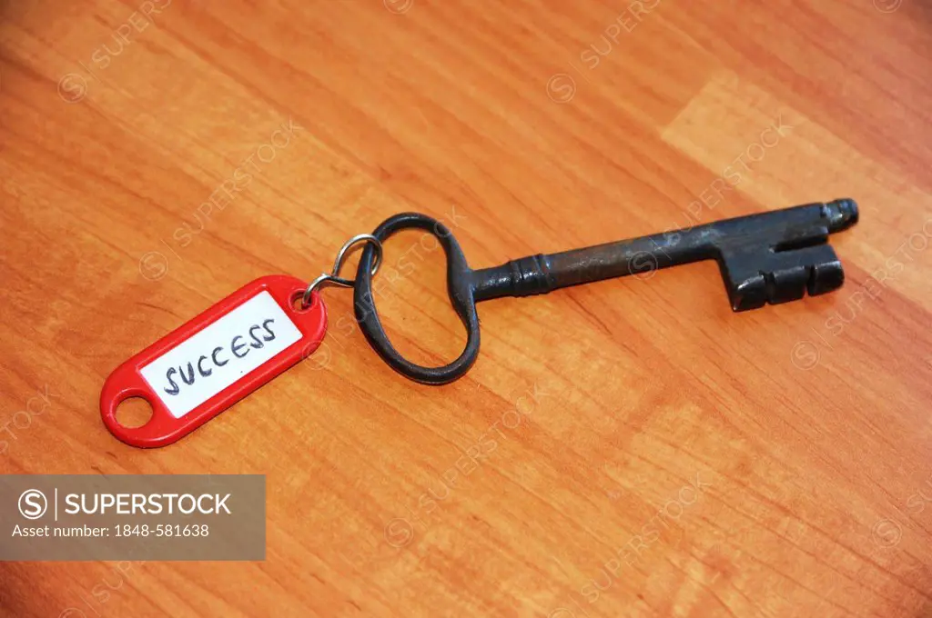 Key ring with the sign success, symbolic image for key to success