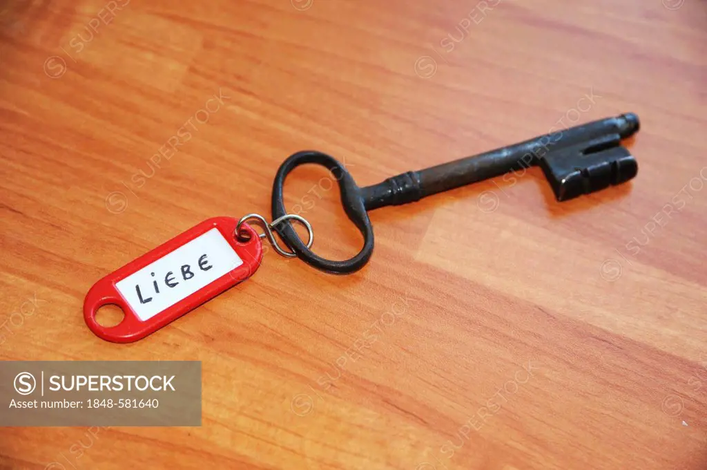 Key ring with the sign Liebe, German for love, symbolic image for key to love