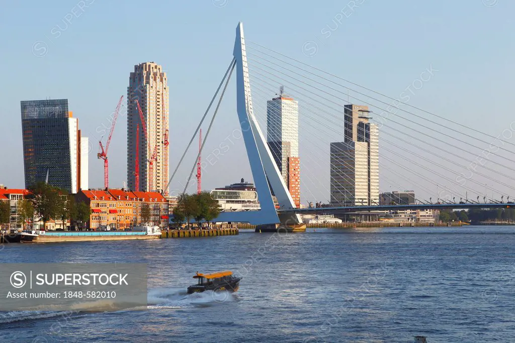 Erasmusbrug bridge and Kop van Zuid district on the Meuse or Maas River, Rotterdam, Holland, the Netherlands, Europe