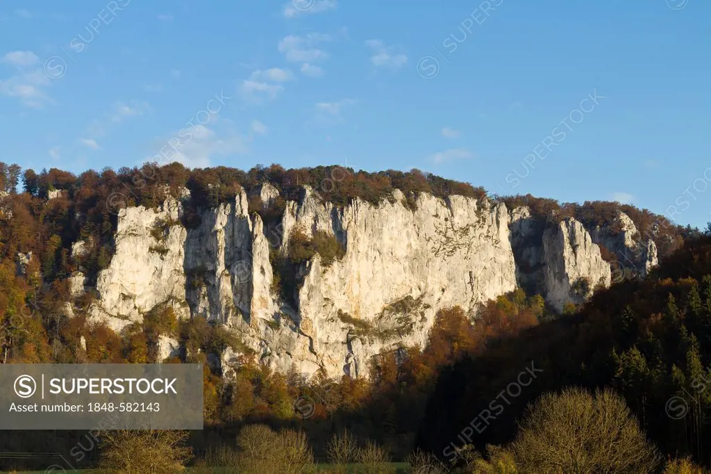 Rock face of Schaufels cliffs, Upper Danube Nature Park, Upper Danube Valley, Sigmaringen district, Baden-Wuerttemberg, Germany, Europe