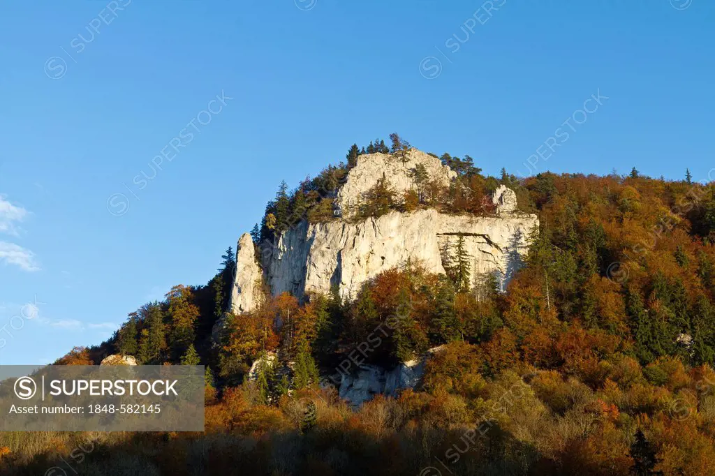 Fachfels rock near Langenbrunn, Upper Danube Nature Park, Upper Danube Valley, Sigmaringen district, Baden-Wuerttemberg, Germany, Europe
