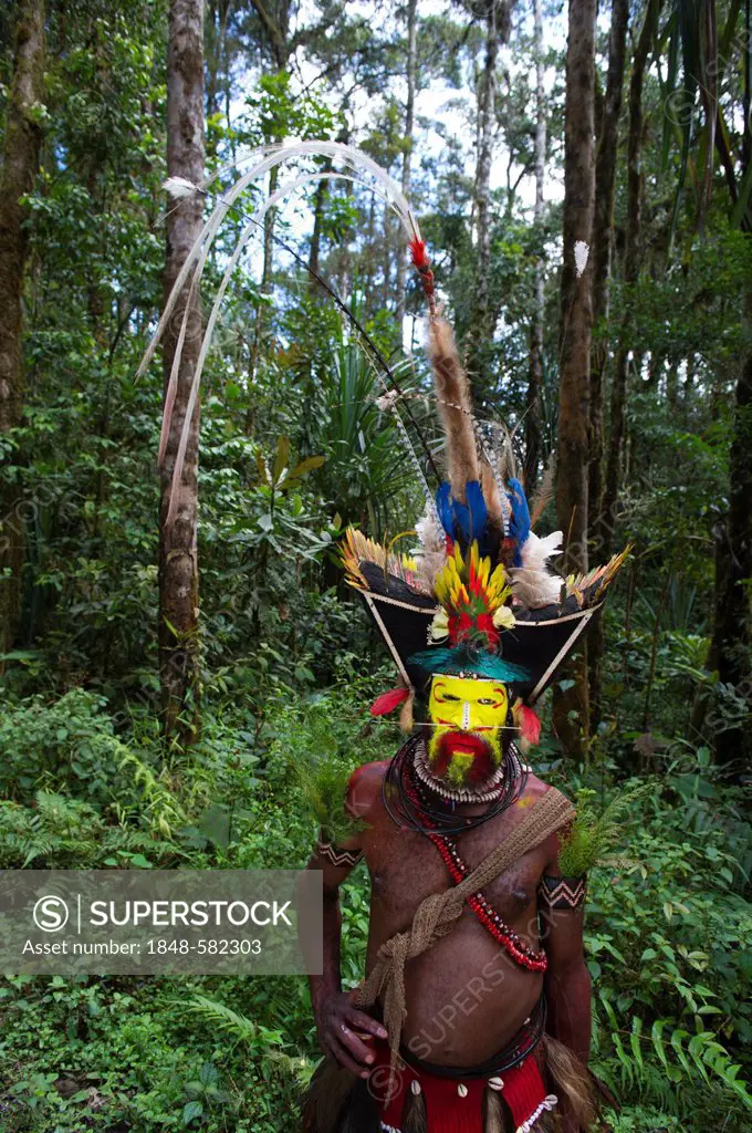 Hale Johu, a Huli Wigman whose eye was lost to an arrow in battle, wearing a headdress with feathers of Superb Bird of Paradise breast shield, Papuan ...