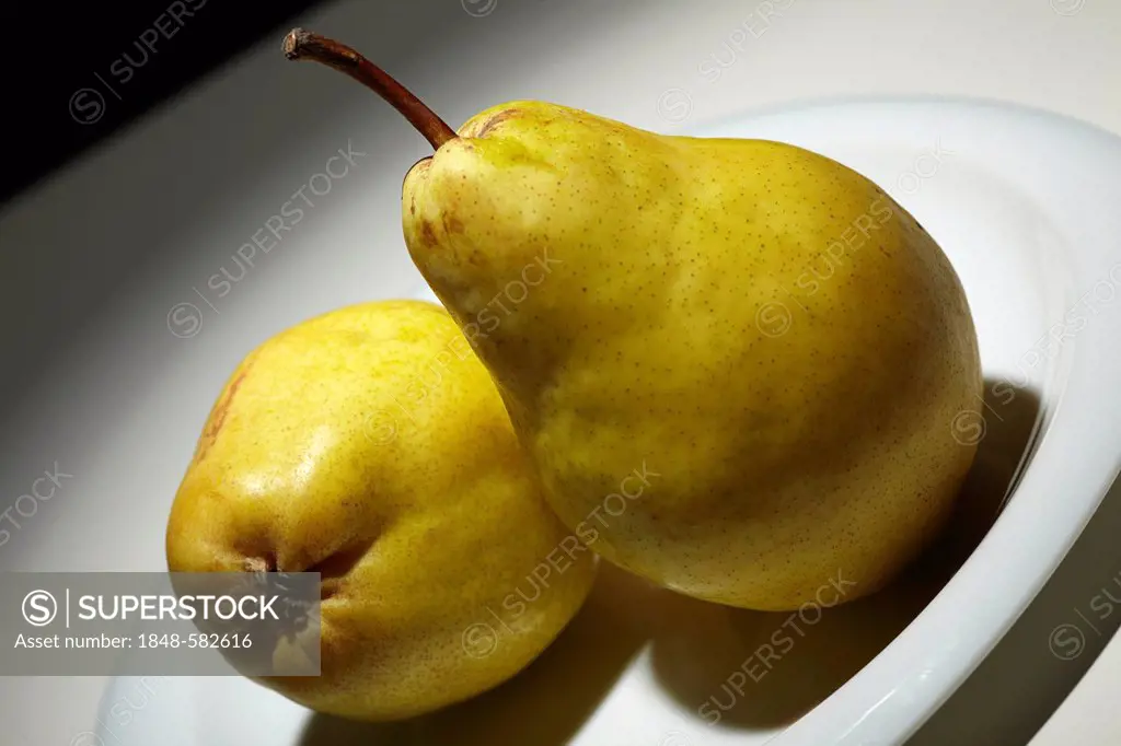 Two Pears (Pyrus communis) on a white plate