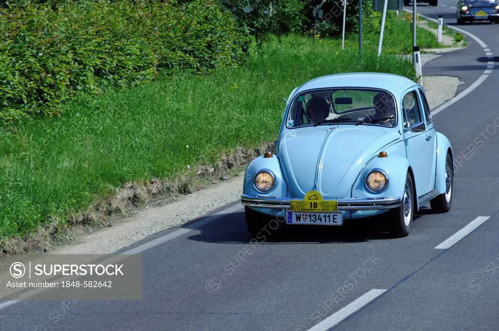 VW Beetle, classic car rally, Wachau valley, Lower Austria, Austria, Europe