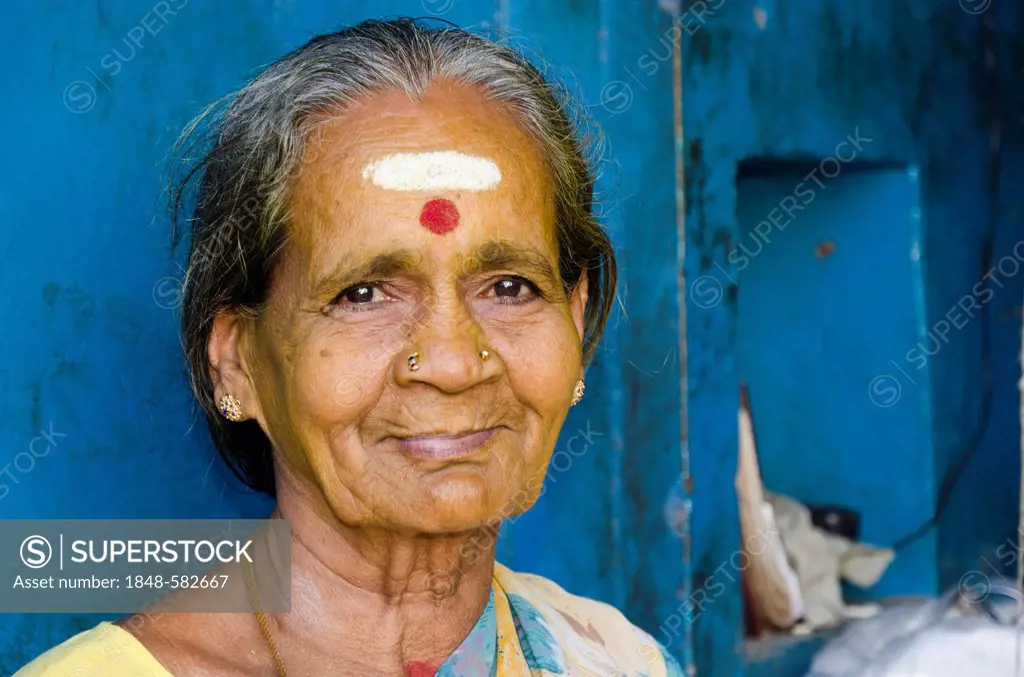Portrait of a fruitseller in Madurai, Tamil Nadu, India, Asia