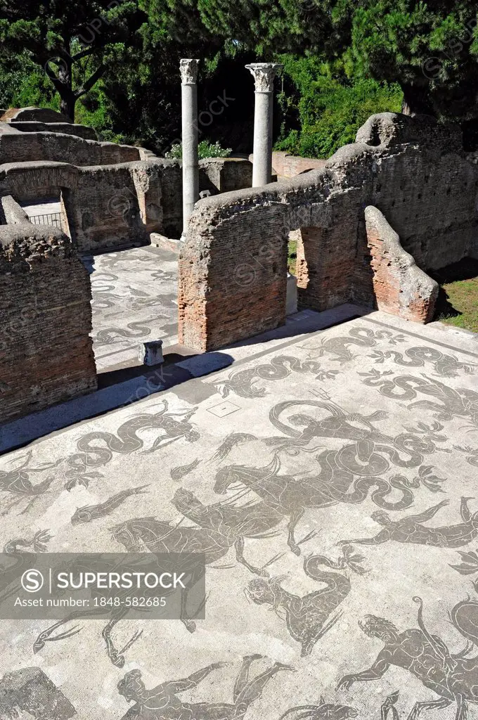 Mosaics in the ruins of the Terme di Nettuno, Baths of Neptune, Ostia Antica archaeological site, ancient port city of Rome, Lazio, Italy, Europe
