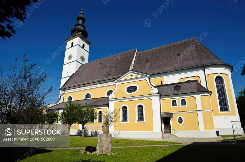St. Martin parish church, Waging, Upper Bavaria, Bavaria, Germany, Europe