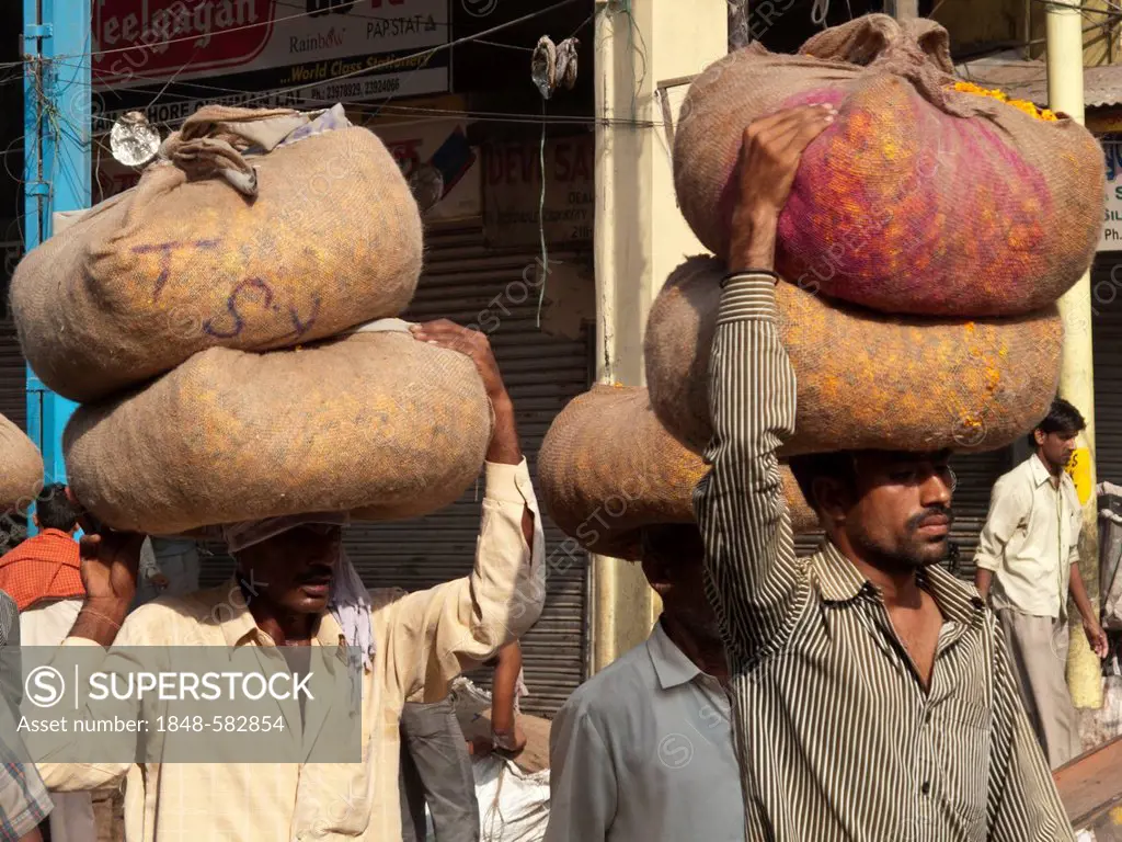 Big bags of flowers are transported the traditional way at the flower wholesale market in Old Delhi, Delhi, India, Asia