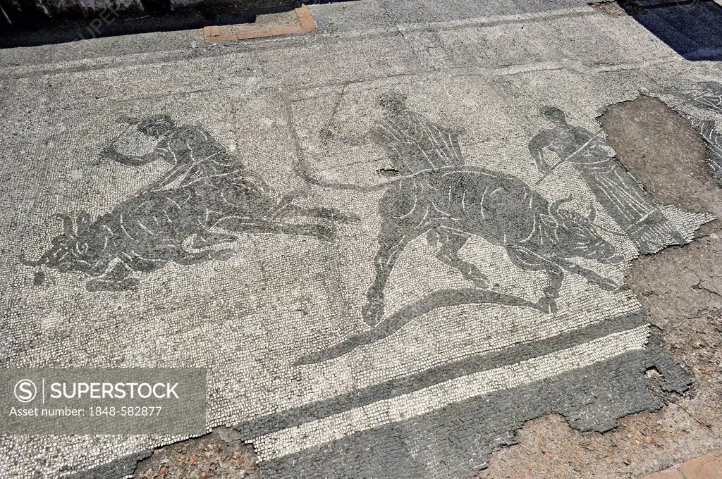 Mosaics in the ruins of the police barracks of Caserma dei Vigili, Ostia Antica archaeological site, ancient port city of Rome, Lazio, Italy, Europe