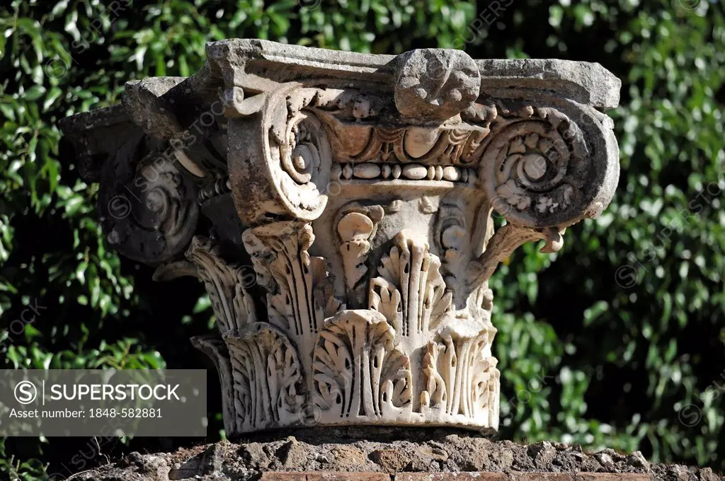 Capital of a Corinthian column, Ostia Antica archaeological site, ancient port city of Rome, Lazio, Italy, Europe