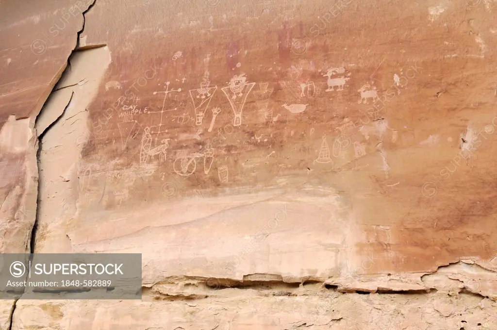 Native American rock art, Sego Canyon Petroglyphs, Utah, USA, North America