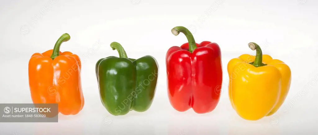 Colorful paprika peppers, orange, green, red, yellow, studio photograph