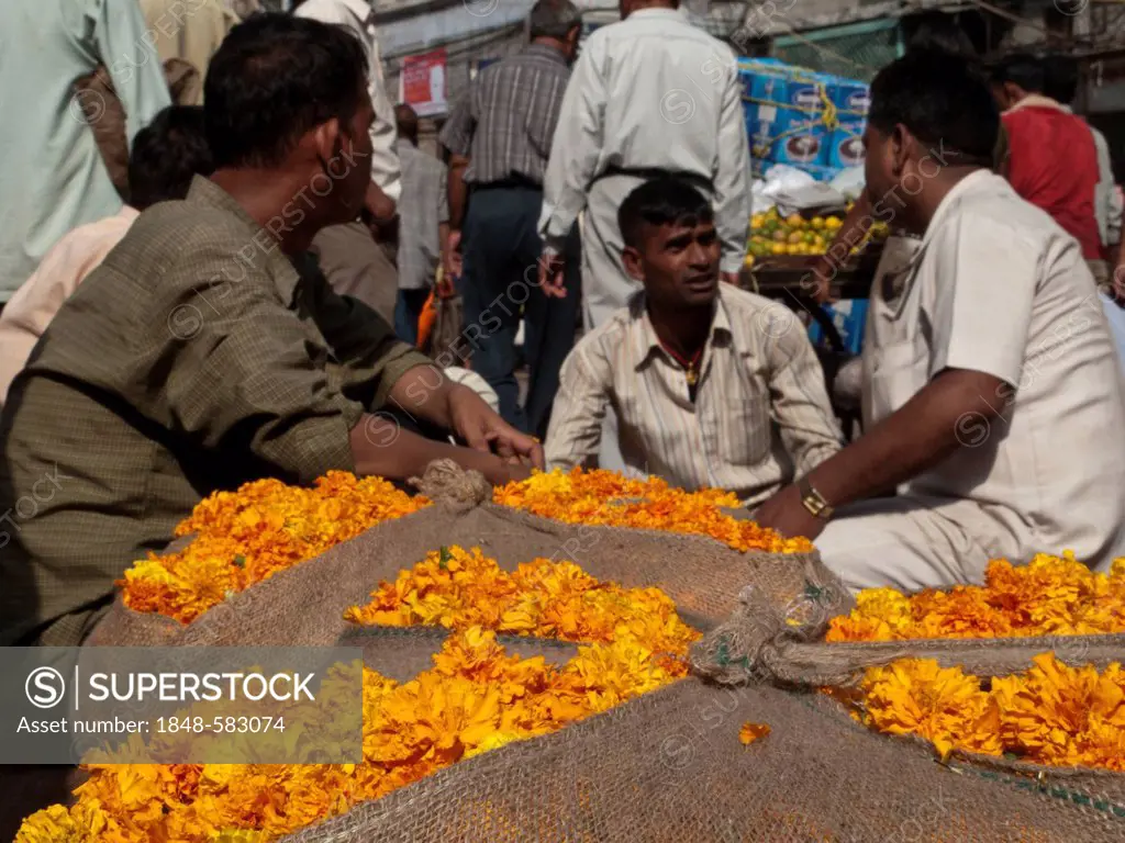 Negotiating the prices, a necessary ritual at the flower wholesale market in Old Delhi, Delhi, India, Asia