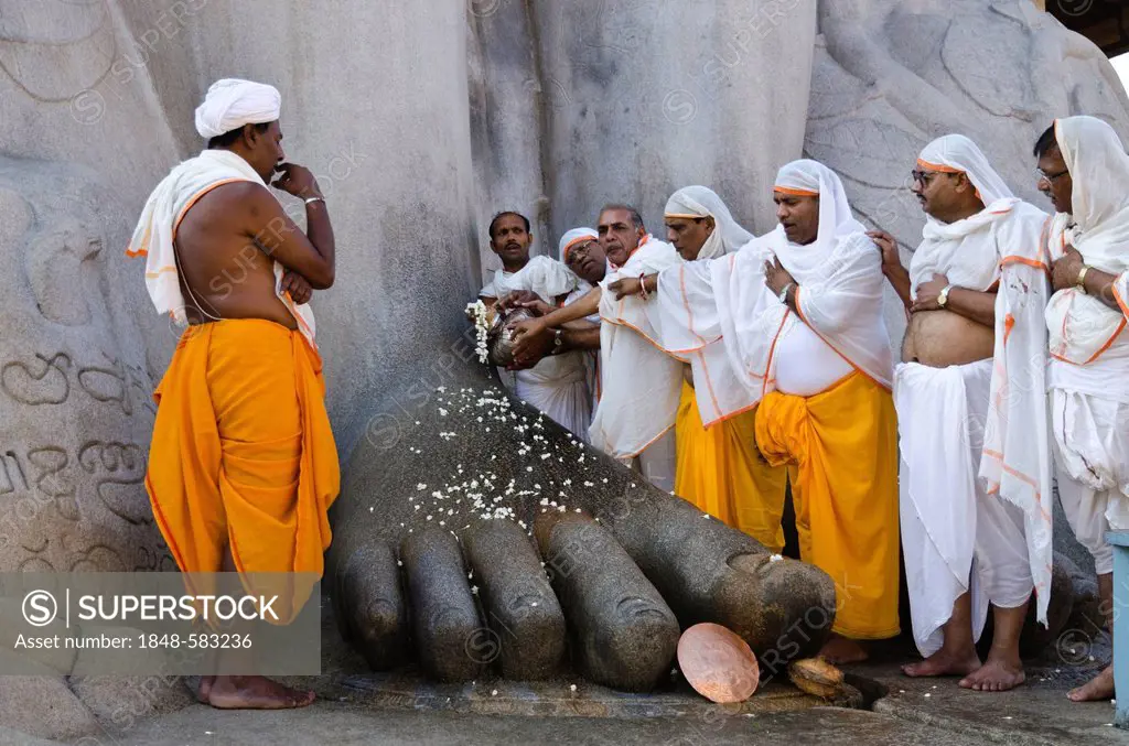 A group of Jain pilgrims doing a special pooja in front of the gigantic statue to receive the blessings of Bahubali by the local priests, Gomateshwara...
