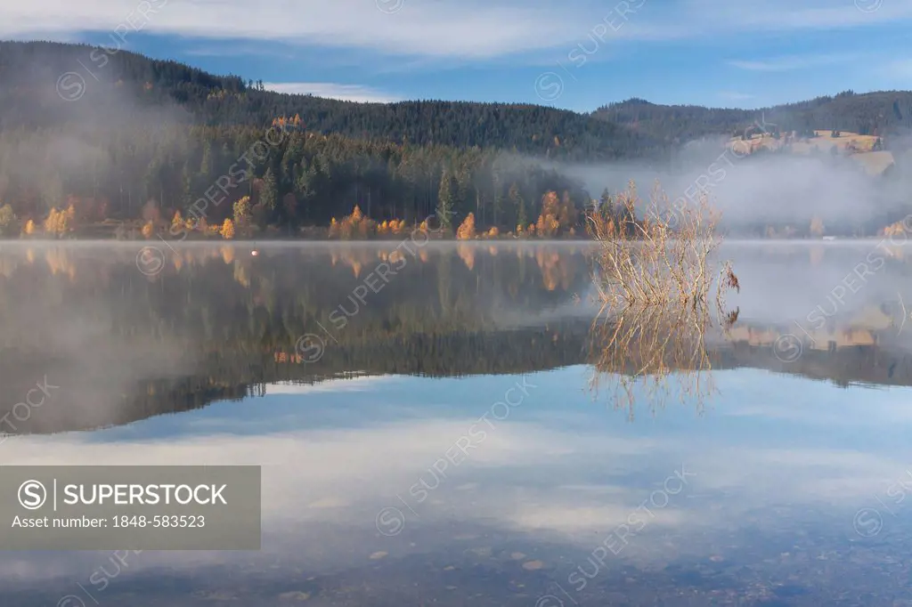 Fog on Lake Schluchsee with reflections, autumn mood, Breisgau-Hochschwarzwald district, Baden-Wuerttemberg, Germany, Europe