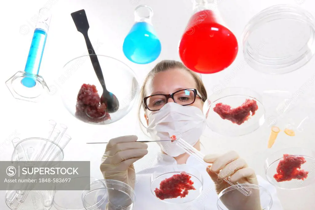 Food testing, laboratory technician examining minced meat samples, preparing them for tests for exposure to bacteria, pathogens or environmental toxin...