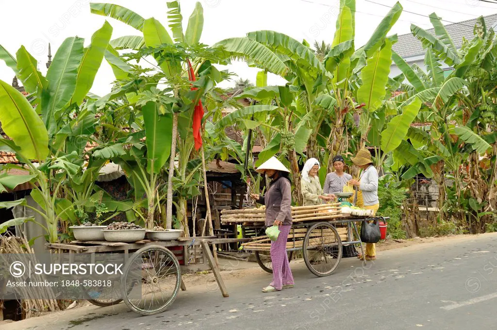 Street scene, Chau Doc, Mekong Delta, Vietnam, Southeast Asia, Asia