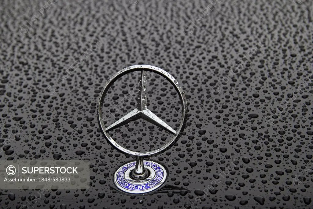 Mercedes star on a bonnet covered in rain drops, car paint, logo,