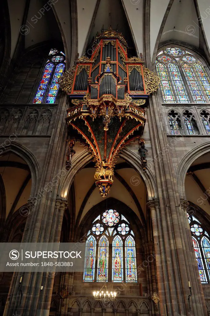 Organ in the nave, with its preserved Gothic casing, nave, interior view, Strasbourg Cathedral, Cathedral of Our Lady of Strasbourg, Strasbourg, Bas-R...