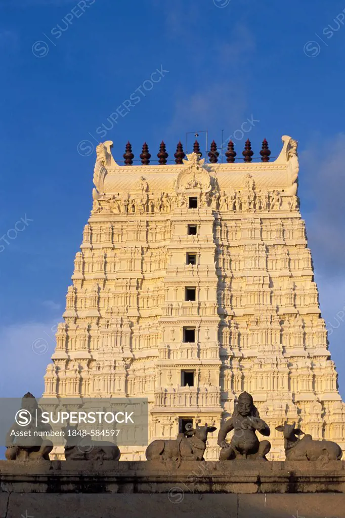 Gopura or Temple Tower, Ramanathaswami Temple, Rameshwaram or Ramesvaram, Tamil Nadu, South India, India, Asia