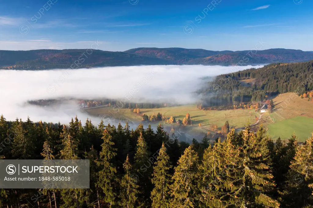 Fog over Lake Schluchsee in the Black Forest mountain range, Breisgau-Hochschwarzwald district, Baden-Wuerttemberg, Germany, Europe
