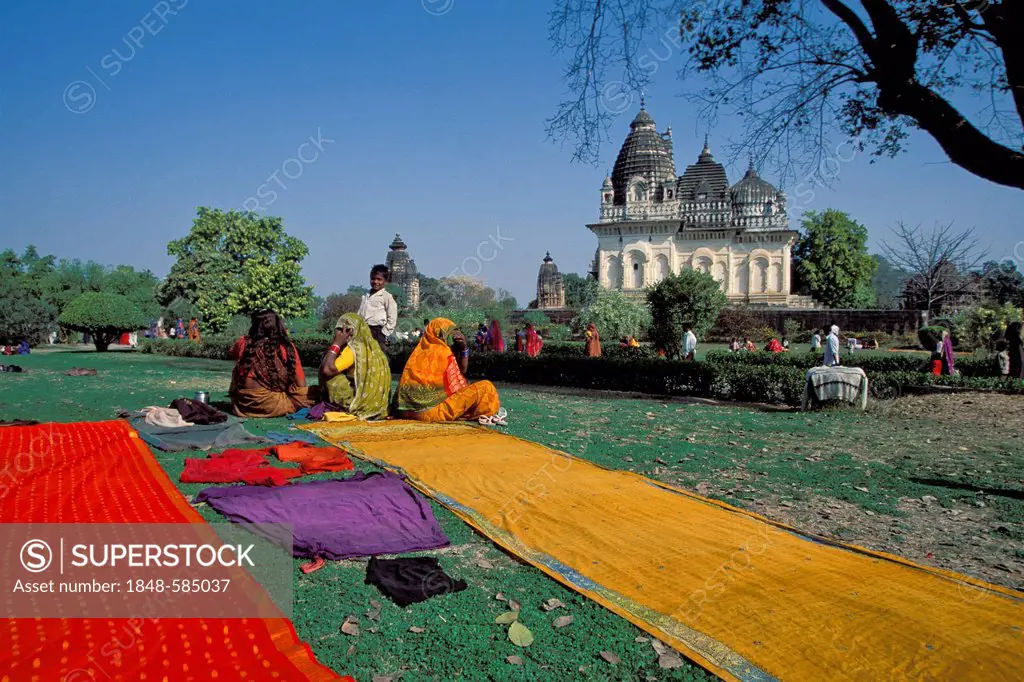 Women drying saris, Mahashivaratri Festival, Temples of Khajuraho, UNESCO World Heritage Site, Madhya Pradesh, India, Asia