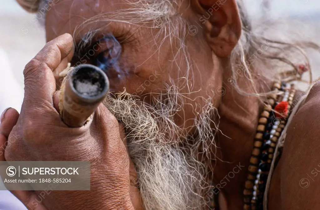 Man smoking marihuana, which is illegal in India, but happens a lot during the Kumbha Mela, Haridwar, Uttarakhand, formerly Uttaranchal, India, Asia