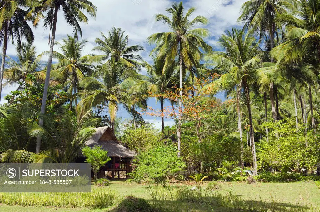 Bungalow in palm grove, Lom Lae Resort, Pasei Beach, Koh Yao Noi island, Phang Nga, Thailand, Southeast Asia, Asia