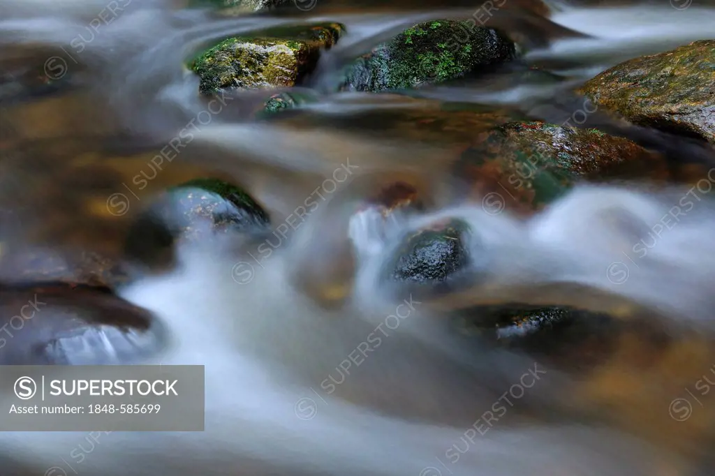 Flowing Kleine Ohe mountain brook with snow and ice, Nationalpark Bayrischer Wald national park, Bavaria, Germany, Europe