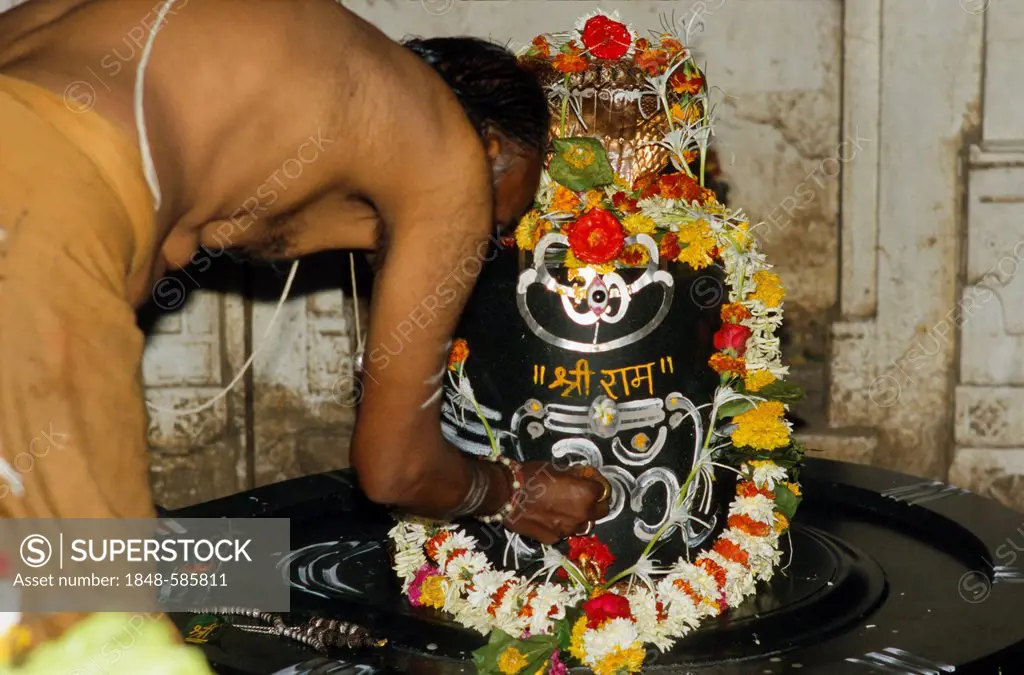 Brahmin preparing a Shiva Lingam for the morning Pooja, Nasik, Maharashtra, India, Asia