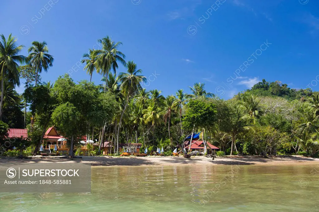 Palm-lined beach, island of Ko Muk or Ko Mook, Trang, Thailand, Southeast Asia, Asia