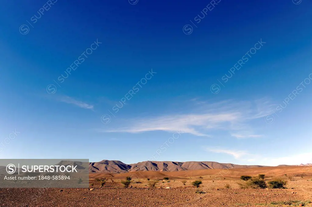Desert landscape, desert boulders, Hamadah, southern Morocco, Morocco, Maghreb, North Africa, Africa