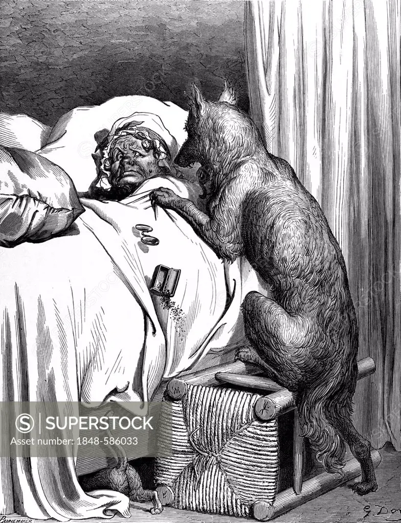Little Red Riding Hood, grandmother in bed is attacked by the wolf, illustration from Perrault's Fairy Tale by Charles Perrault, illustrated by Gustav...