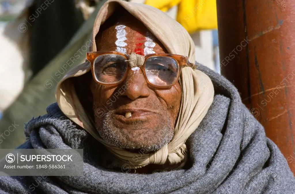 Sadhu at the Kumbha Mela, Haridwar, Uttarakhand, formerly Uttaranchal, India, Asia