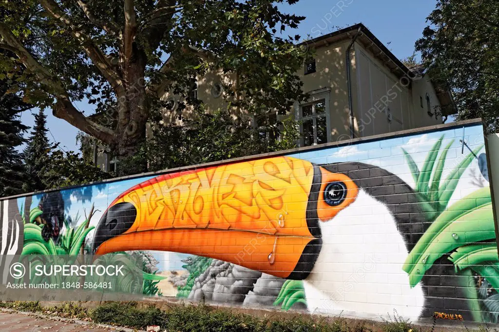 Toco Toucan as a graffiti on the wall of the Cologne Zoo, Cologne, North Rhine-Westphalia, Germany, Europe