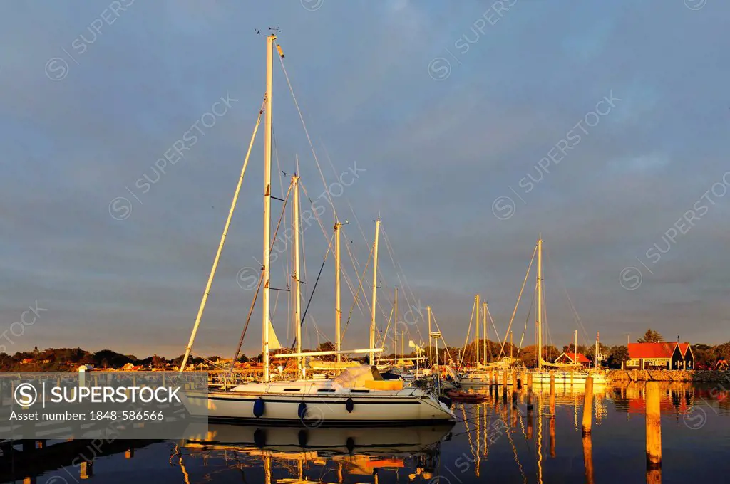 Harbour at sunrise, Spodsbjerg, Langeland, Denmark, Europe