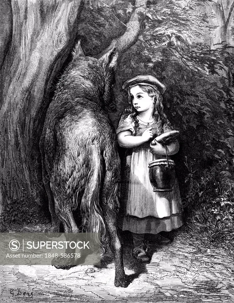 Little Red Riding Hood, little girl, large wolf, forest, illustration from Perrault's Fairy Tale by Charles Perrault, illustrated by Gustave Dore