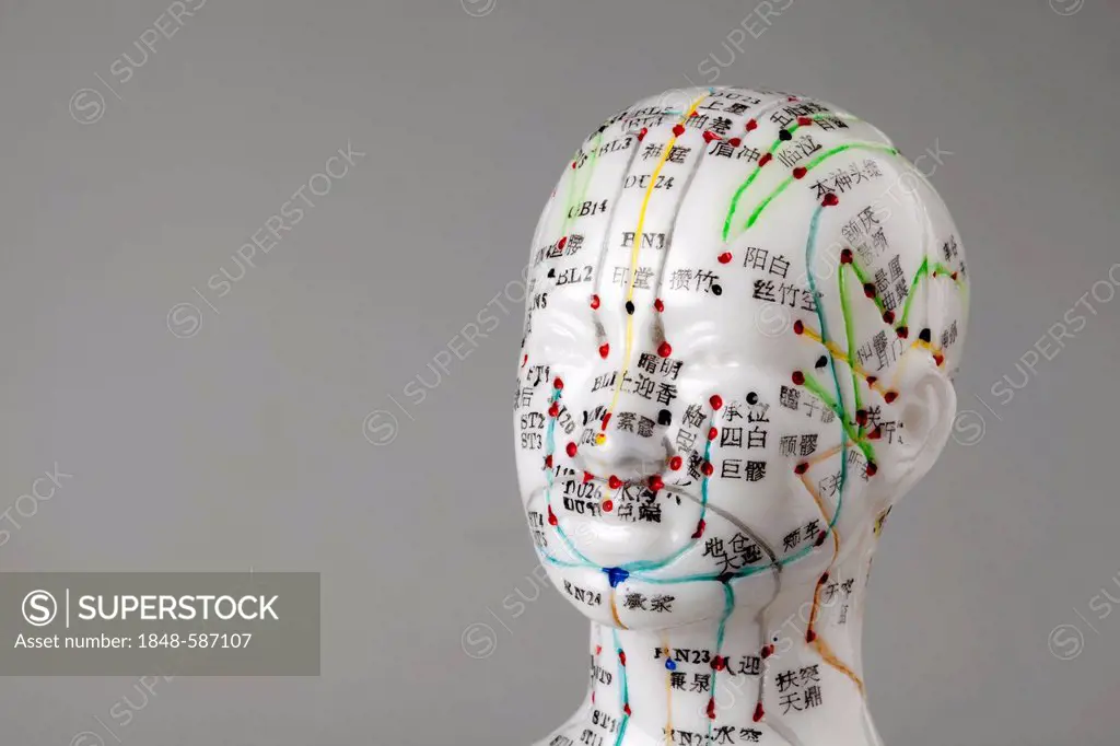Acupuncture, a model with marked acupuncture points labeled with Chinese characters on the meridians, detail head, traditional Chinese medicine, TCM, ...