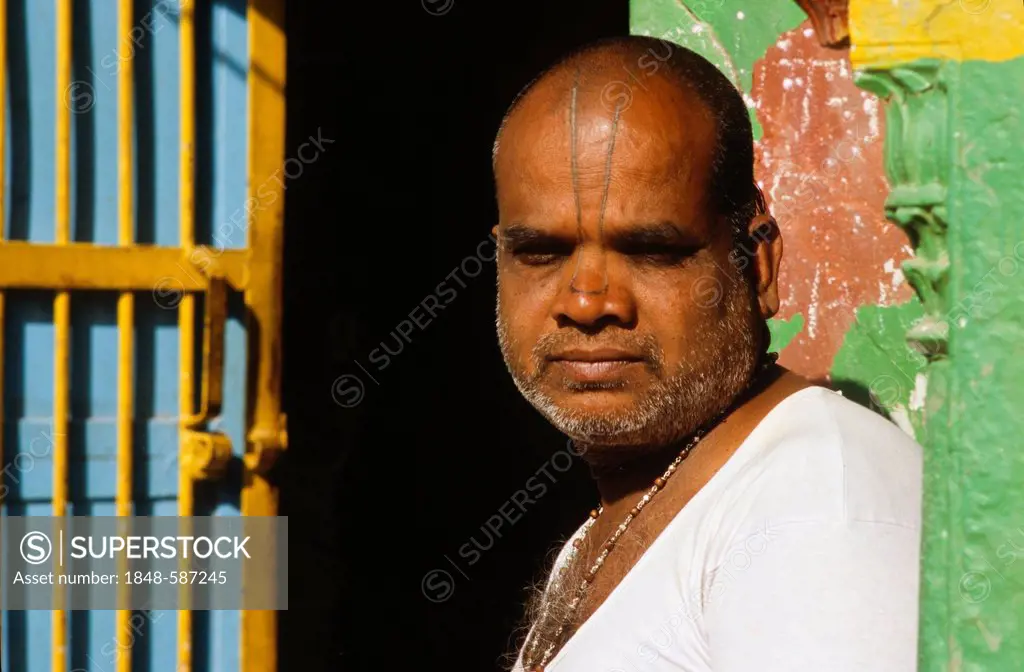 Local Brahmin in Vrindaban with the Krishna Tilak on his forehead, Vrindaban, Uttar Pradesh, India, Asia