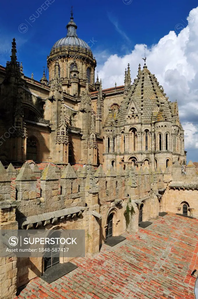 Gothic cathedral, Salamanca, Unesco World Heritage Site, Castilla y Leon, Castile and Leon, Spain, Europe