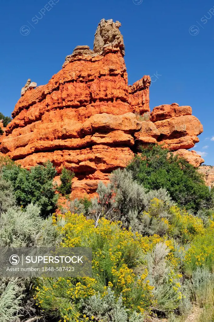 Claron rock formation, Dixie National Forest, Utah, USA, North America