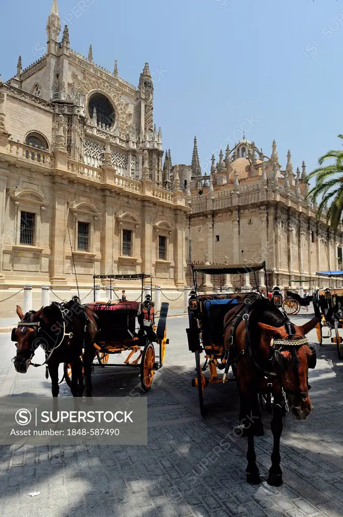 Cathedral of Seville, carriages, Seville, Andalusia, Spain, Europe