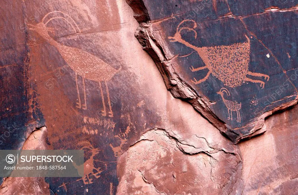 Petroglyphs etched in sandstone, symbols, prehistoric and historic rock art, wall drawings by the Anasazi Native Americans, Monument Valley, Navajo Tr...