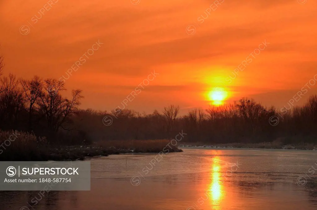 Wetlands in the early morning in winter, Danube-Auen National Park, Lower Austria, Austria, Europe