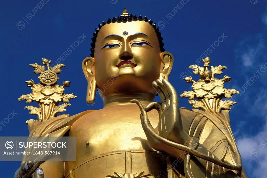 Golden Buddha statue, Maitreya, Jammu and Kashmir, Indian Himalayas, North India, India, Asia