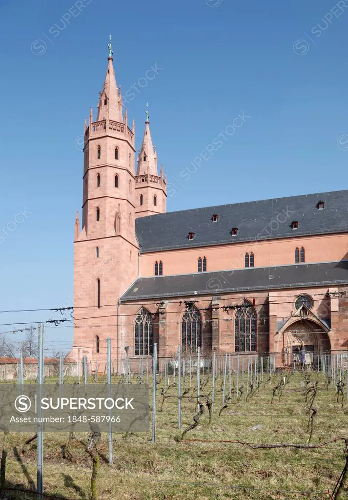 Gothic Liebfrauenkirche, Church of Our Lady, Worms, Rhineland-Palatinate, Germany, Europe