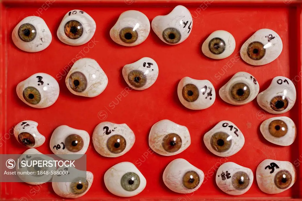Ocular prostheses, artificial eyes