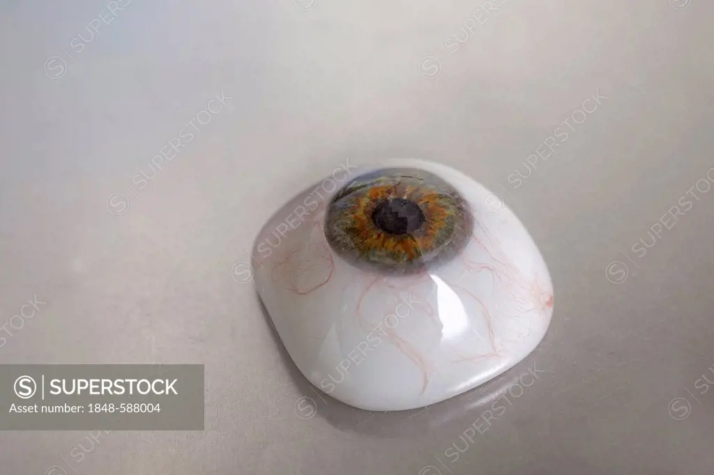 Ocular prosthesis, artificial eye