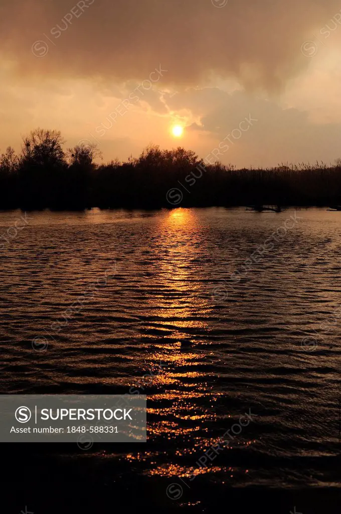 Sunset, Danube wetlands, Donau Auen National Park, Lower Austria, Austria, Europe