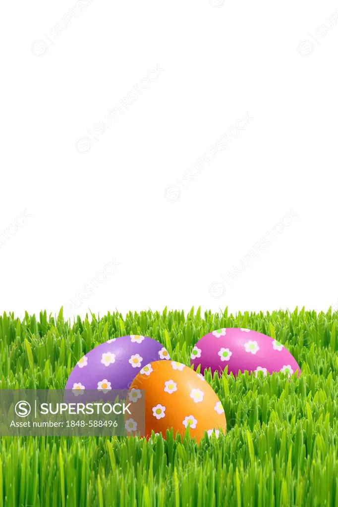 Colourfully painted Easter eggs on green grass